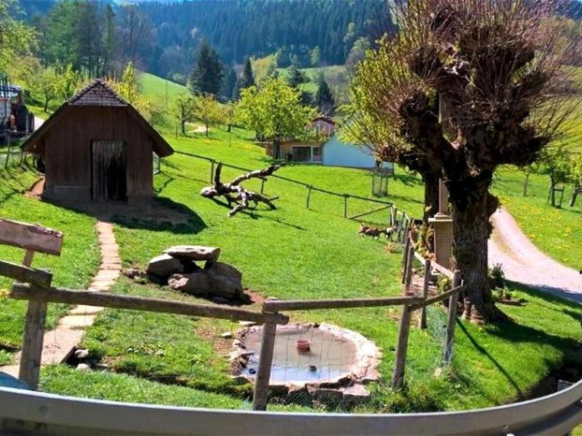 Ferienwohnungen Maierhof Oberried Oberried  Exterior photo